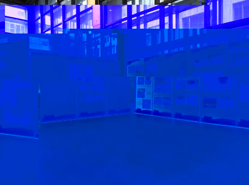 1638599914754012112.jpg